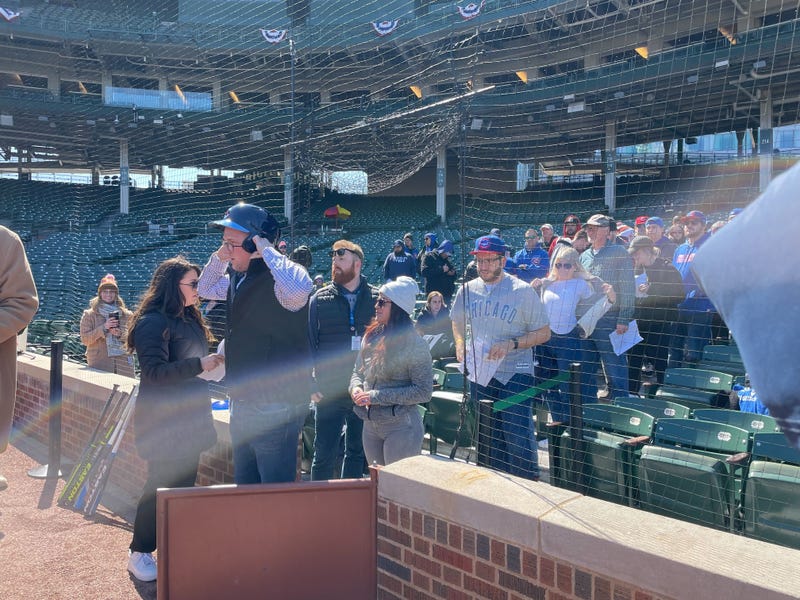 cubs