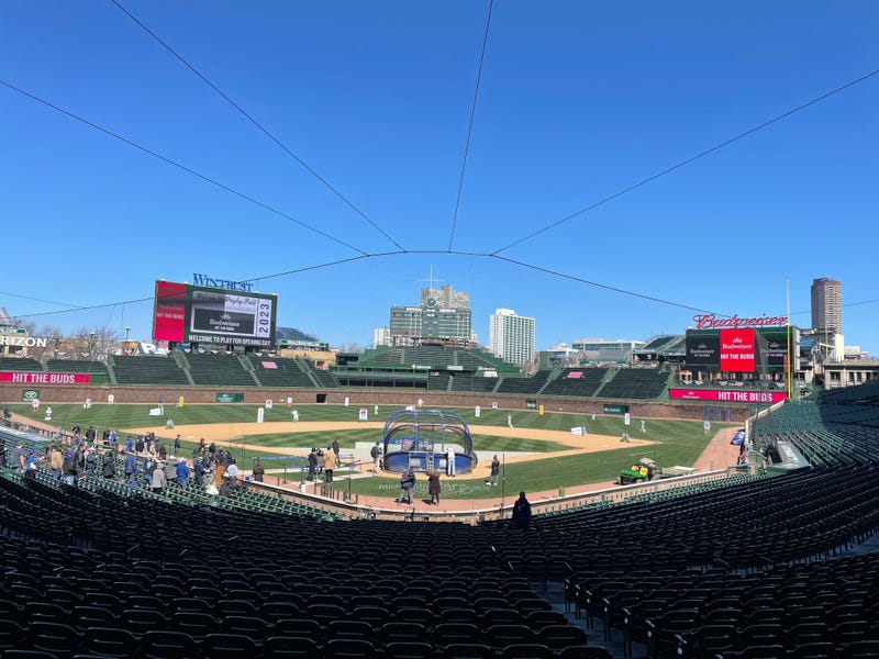 cubs