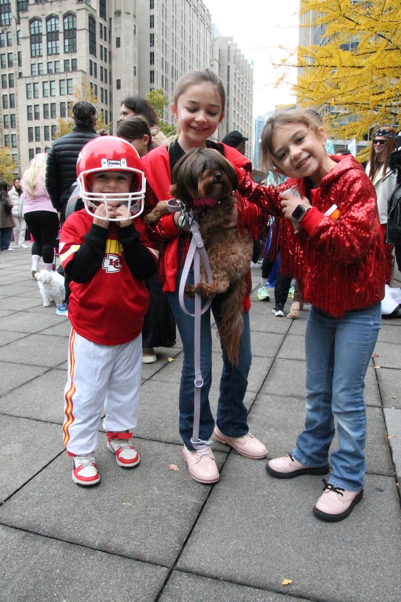 Dog dressed as Taylor Swift on a date with Travis Kelce.