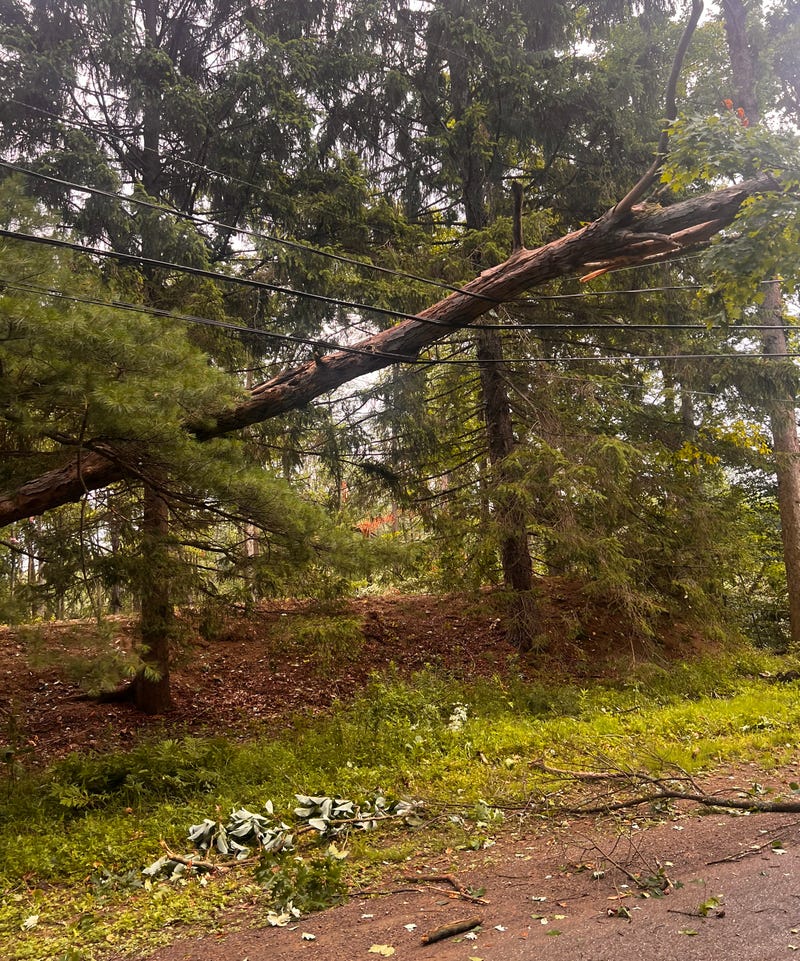 Eden tornado damage