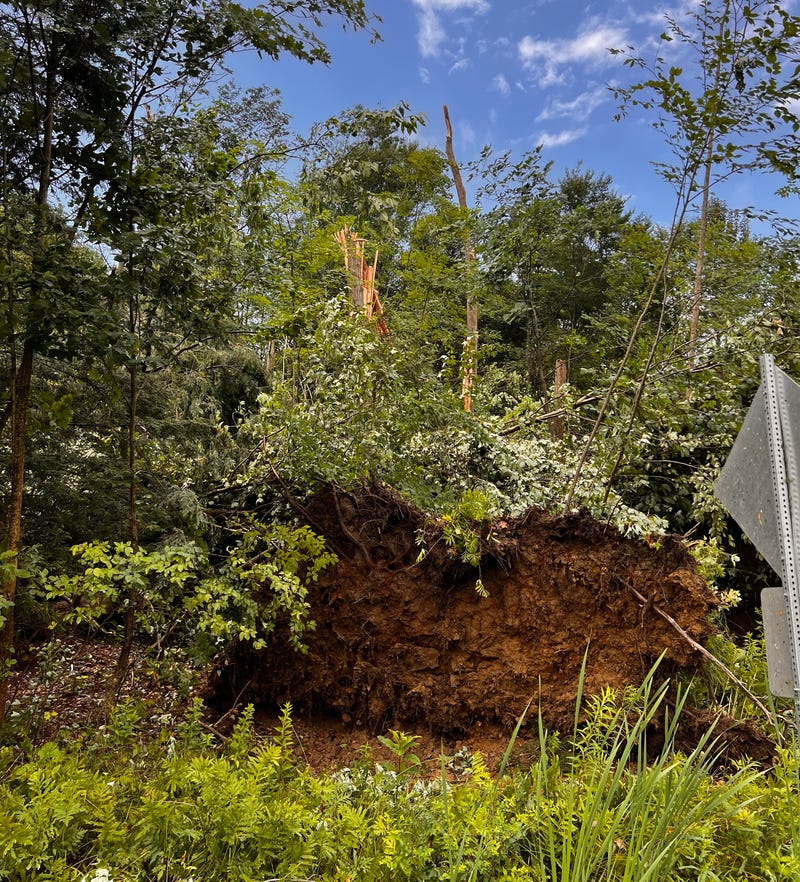 Eden tornado damage