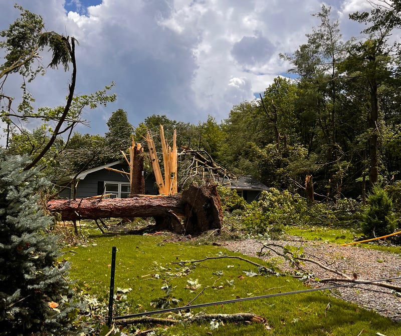 Eden tornado damage