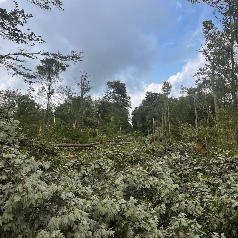 Damaged caused by the EF-2 Tornado