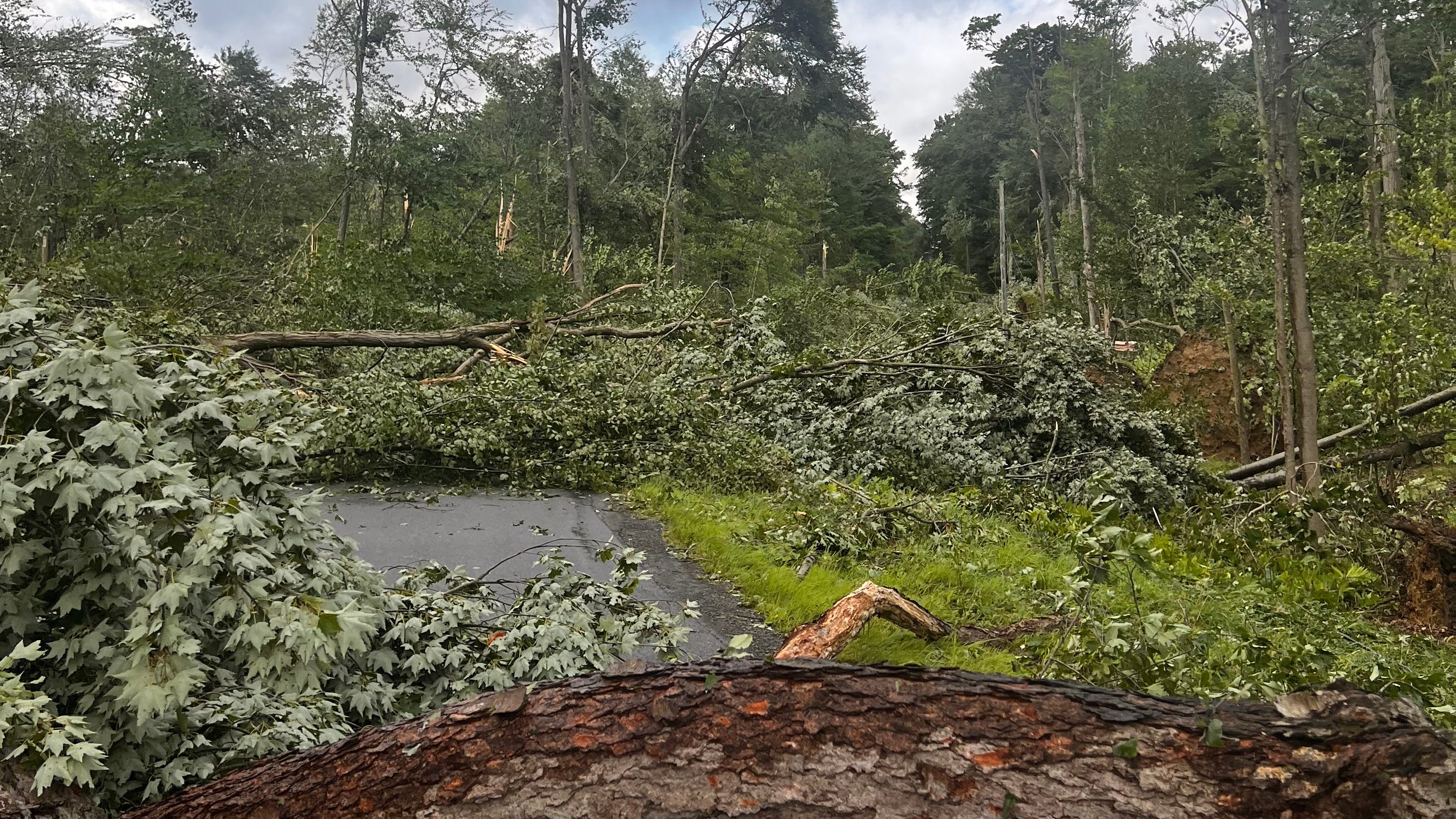 Eden Tornado Relief Fund established