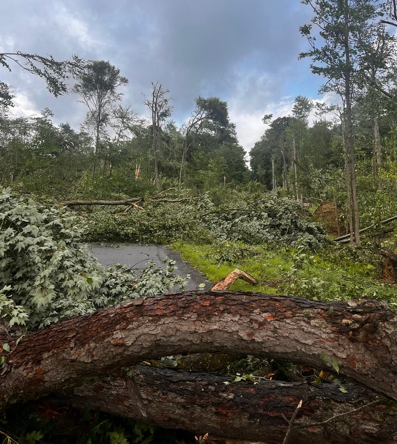 Eden tornado damage
