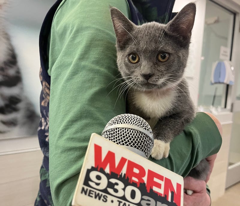 SPCA Radiothon