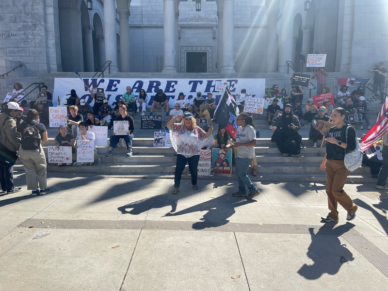 Protestors