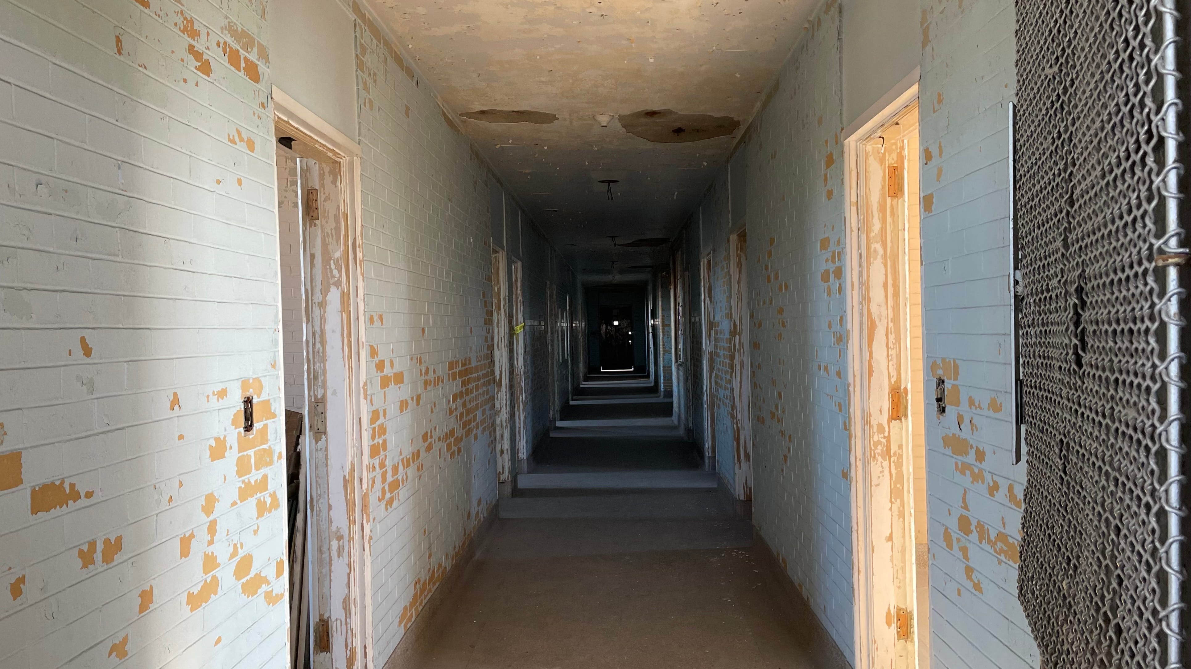 The real story of Eloise Psychiatric Hospital: the most complicated "haunted" house in Metro Detroit