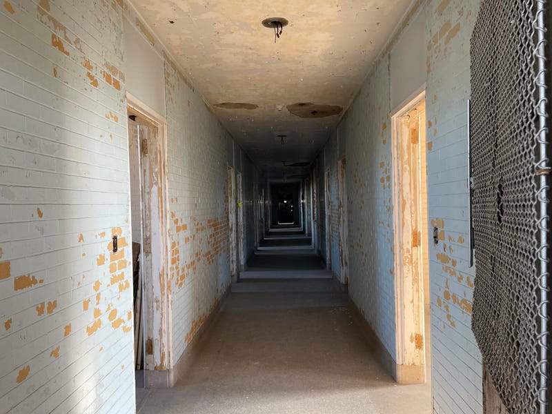 Eloise Hospital