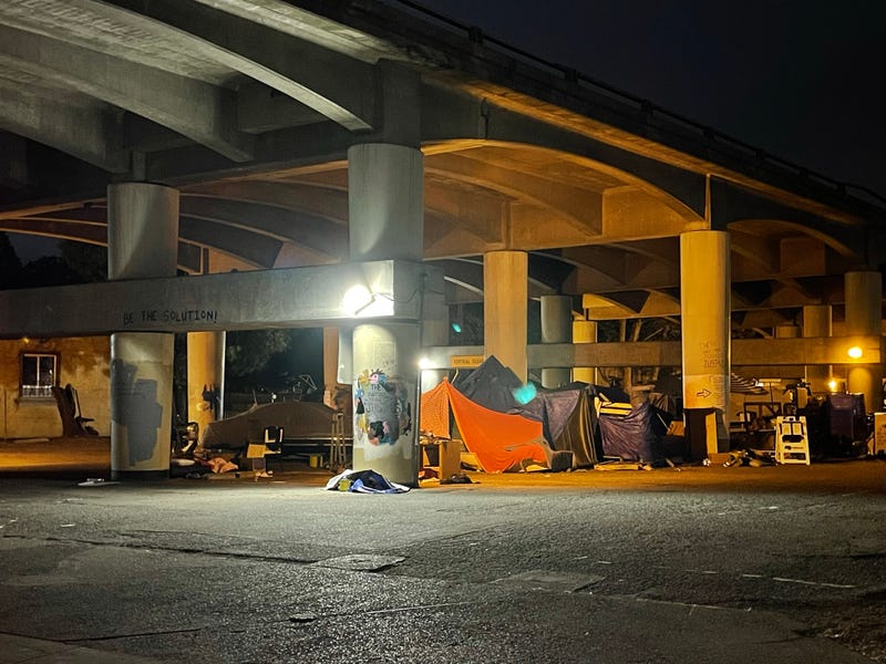 Homeless encampment under Highway 101 in San Rafael.
