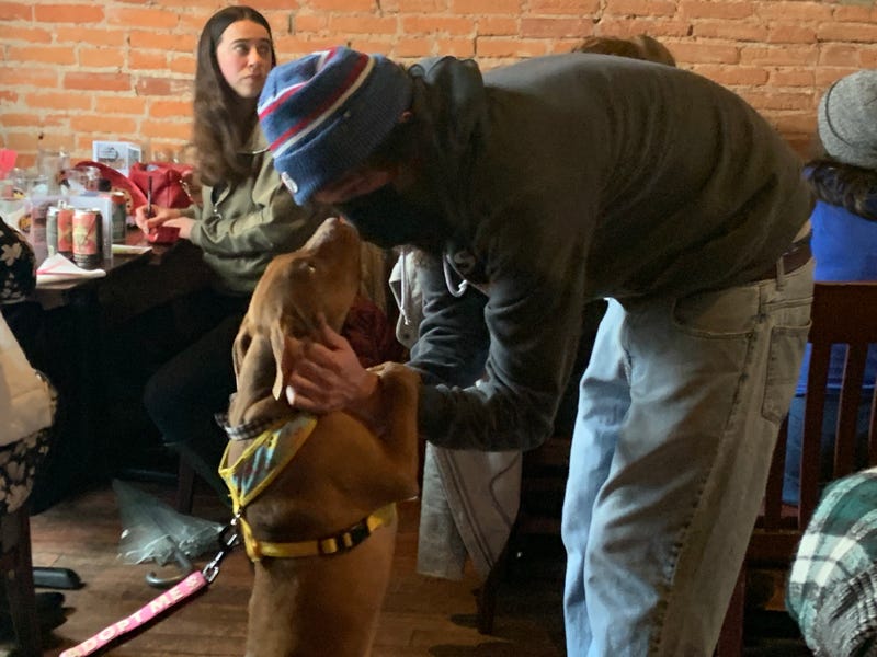 A Devil's Den patron gets to know 4-month-old Thor at Devil's Den's Puppy Bowl watch party.