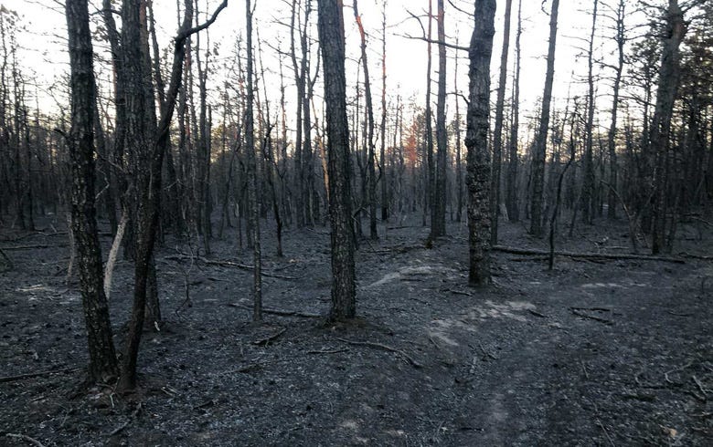 New Jersey brush fire