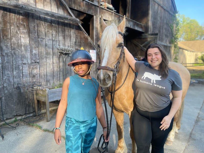 Chamounix Equestrian Center, home to the Work to Ride program