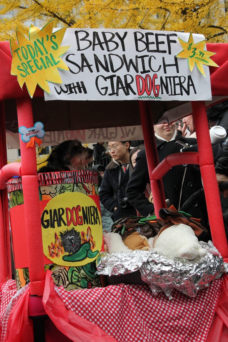 Baby beef costume includes a dog and a baby, dressed as a beef sandwich. 
