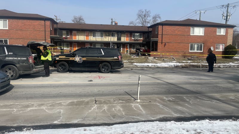 car into building in Ferndale