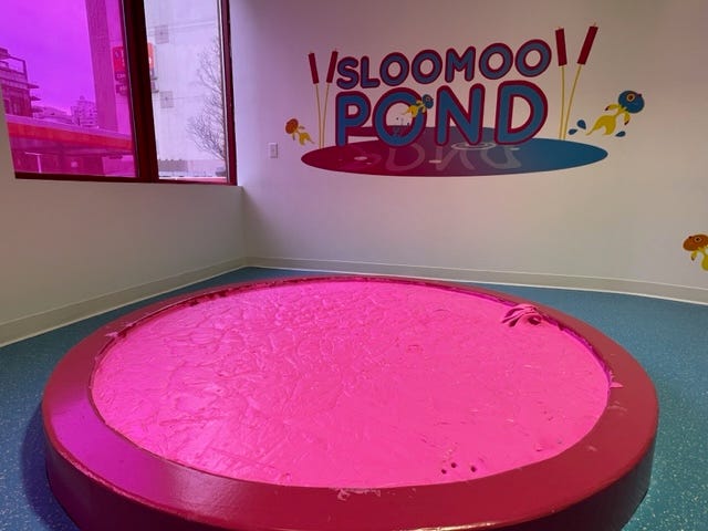 Sloomoo Pond