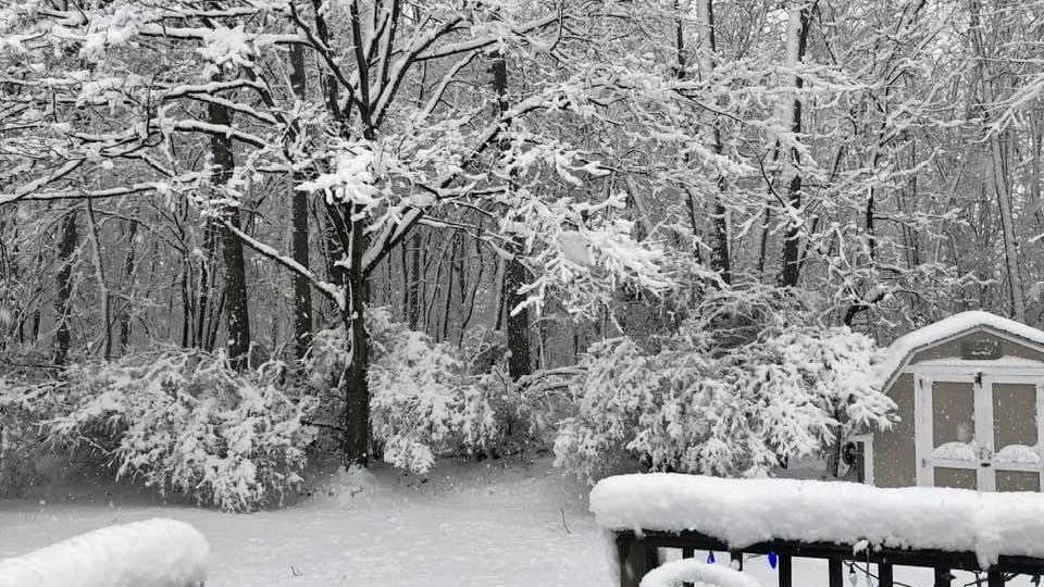 Snow totals: Here's which cities got the most snow Wednesday in Southeast Michigan