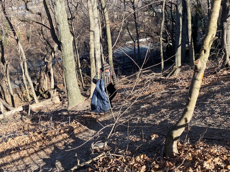 The man who allegedly went after a New York Post reporter as crews dismantled his treehouse in Manhattan on Monday