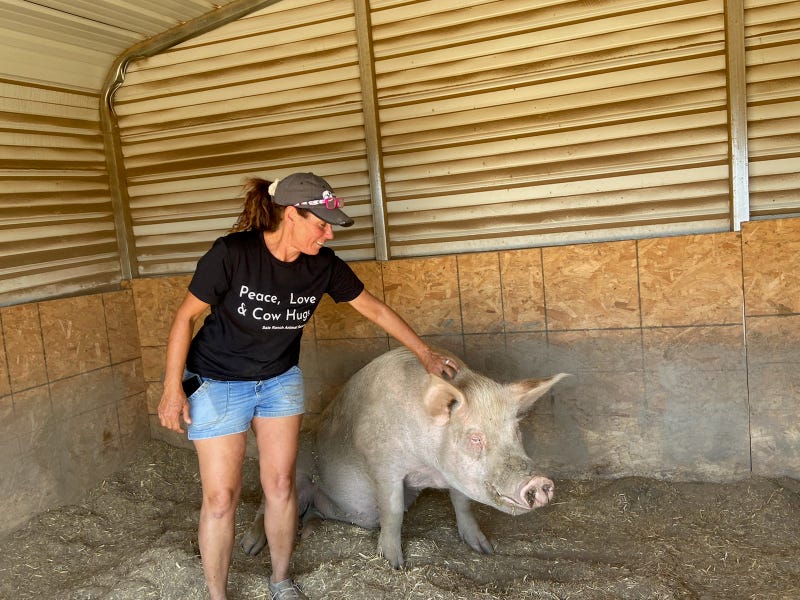 Jen Sale of Sale Ranch with one of their resident pigs