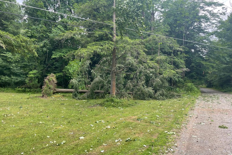 Eden tornado damage