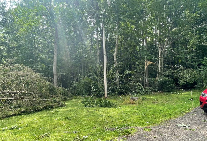 Eden tornado damage