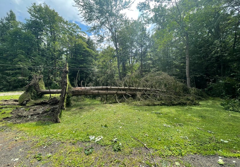 Eden tornado damage