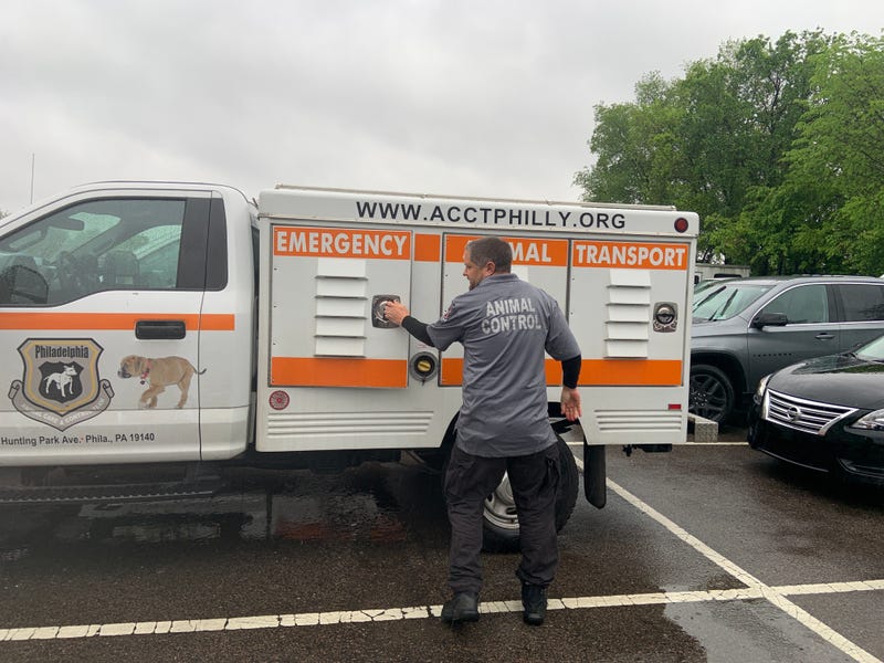 Tony Ikonen and the ACCT Philly team have experience with all manner of creature.
