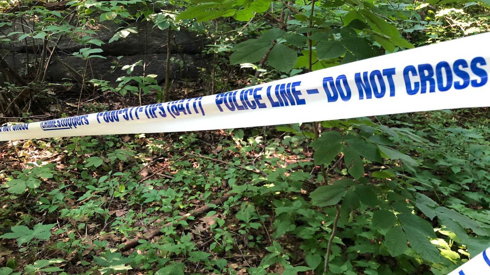 Police believe sexual predator targeted 3 women at upper Manhattan park in 1 hour
