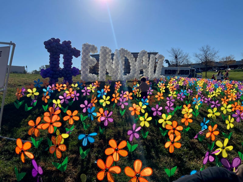 Pinwheel flowers representing participants connection to Alzheimer's spin in the breeze at the 2024 St. Louis Walk to End Alzheimer's, Saturday, October 26th at Chesterfield Park and Amphitheater