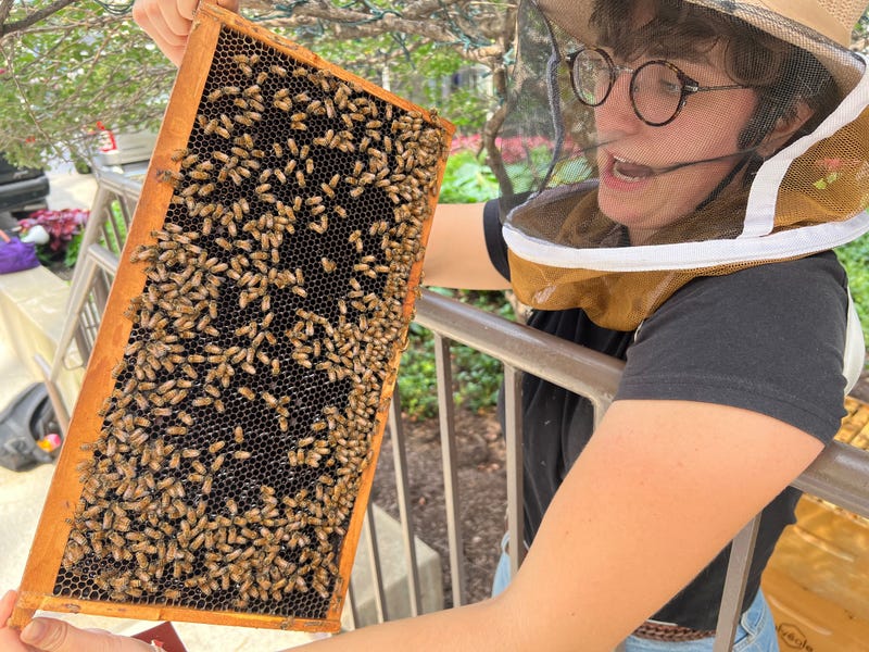beekeeping