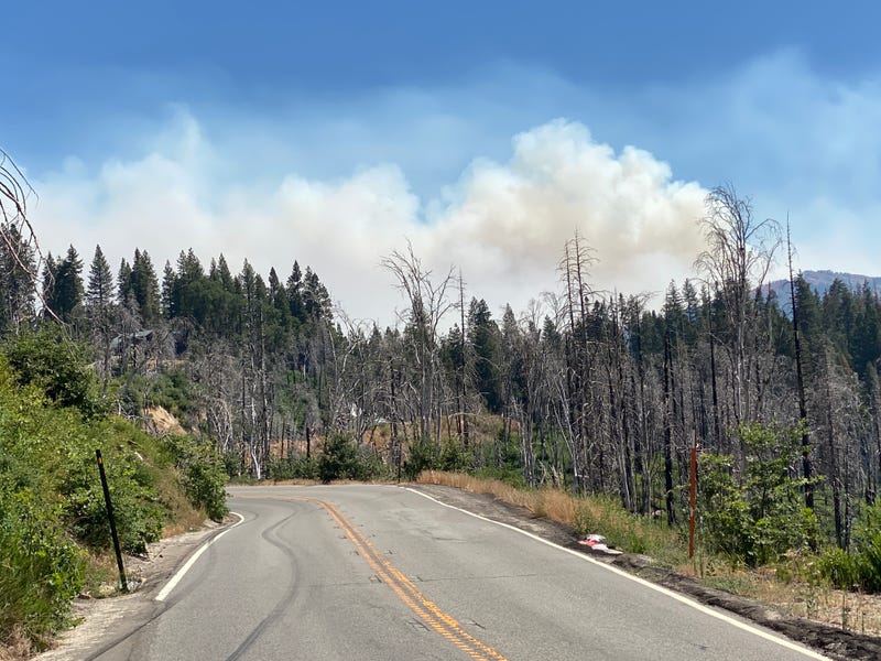 A view of Washburn Fire smoke from the roadway.