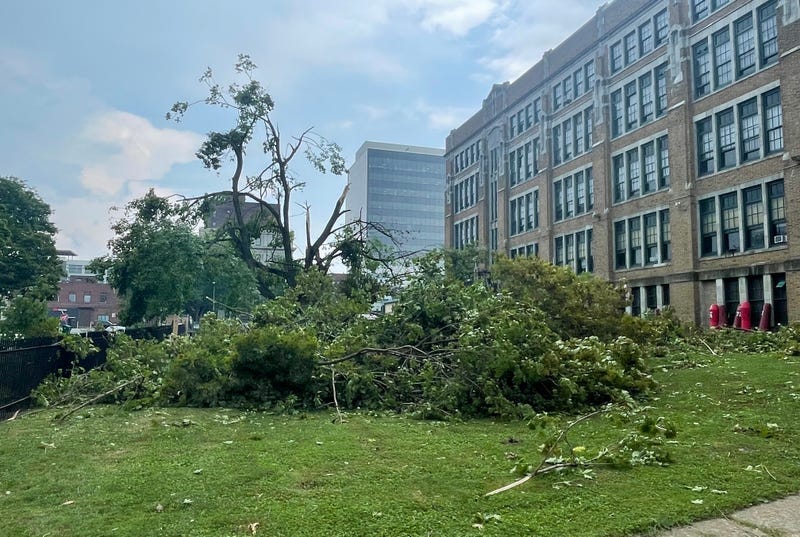 Buffalo tornado damage