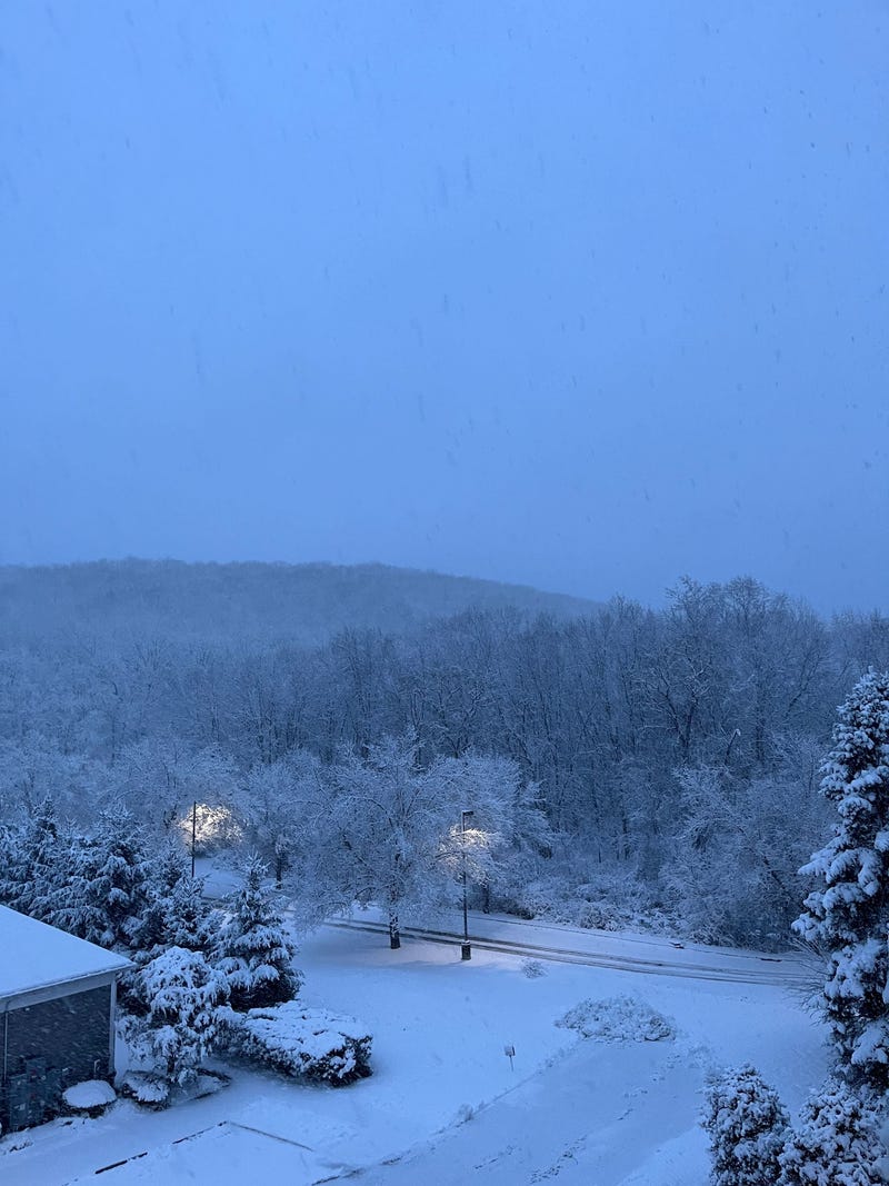 Snow falls in Bloomingdale, Passaic County, on Feb. 13, 2024