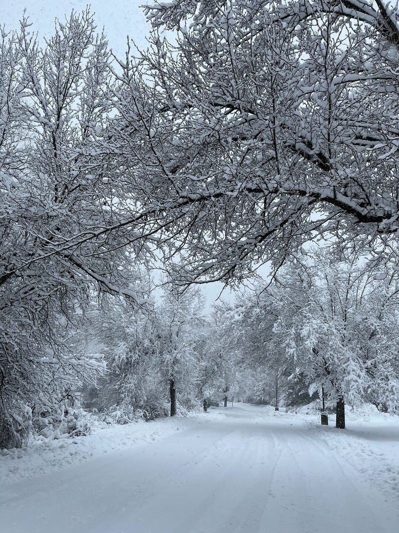 Snow falls in Bloomingdale, Passaic County, on Feb. 13, 2024