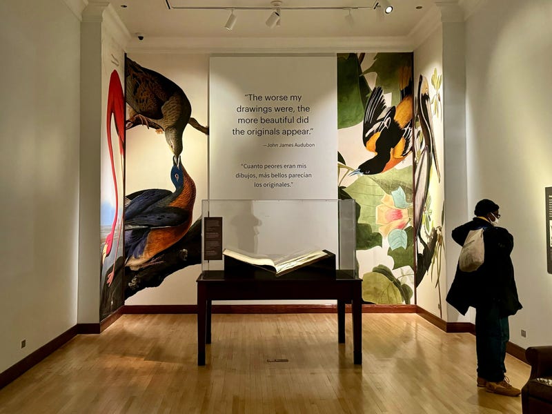 The "Birds of America" exhibit at the Field Museum.