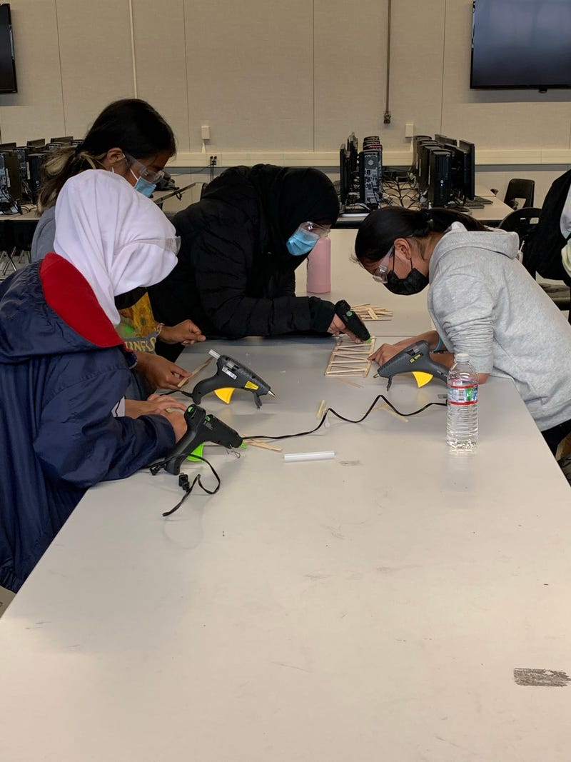 “Femineer” program aims to inspire female students in science, technology, engineering and mathematics.