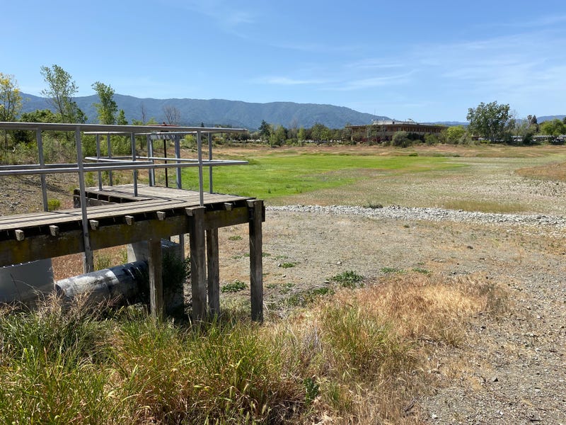 One of Valley Water's dried up "percolation ponds."
