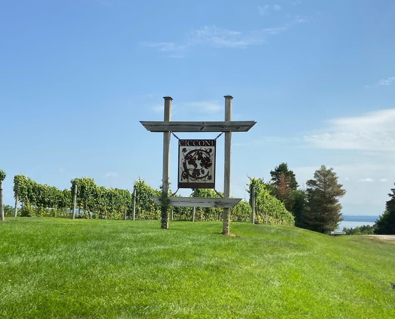 If you ever wanted to own your own winery and vineyard in Michigan's wine country, now is your chance — and it's not just any property that's up for sale.