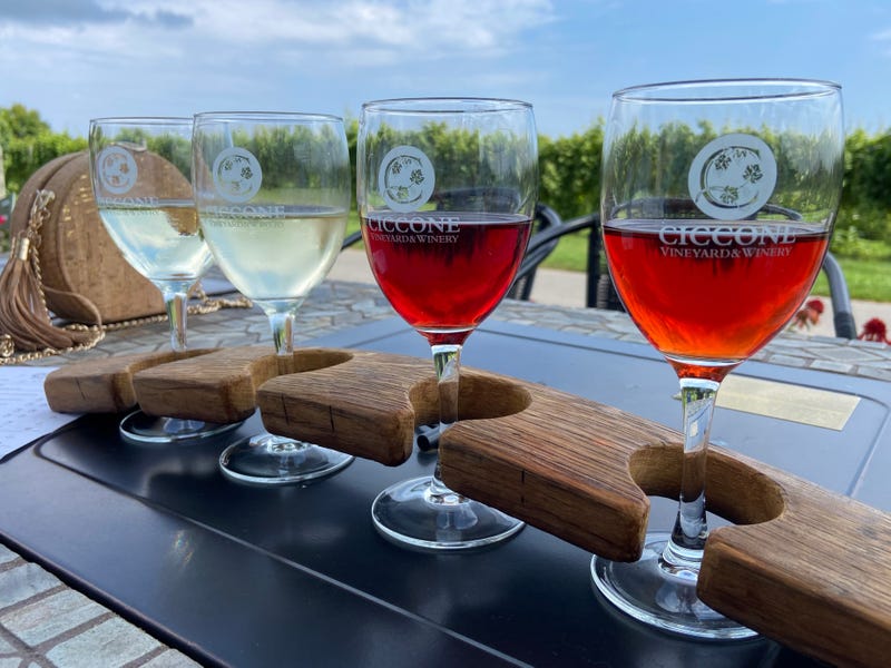 If you ever wanted to own your own winery and vineyard in Michigan's wine country, now is your chance — and it's not just any property that's up for sale.