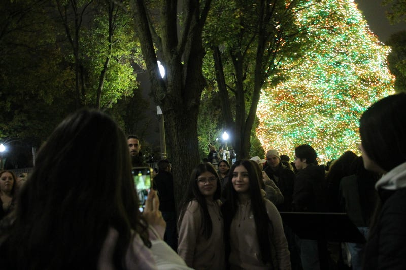 Christmas Tree