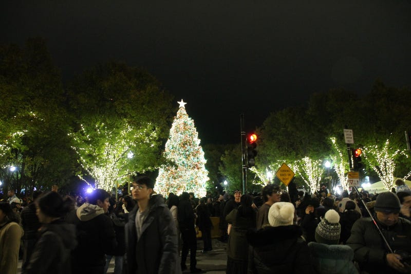Christmas Tree