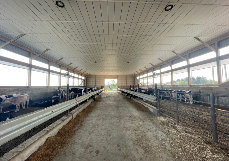Don Mammoser Farms