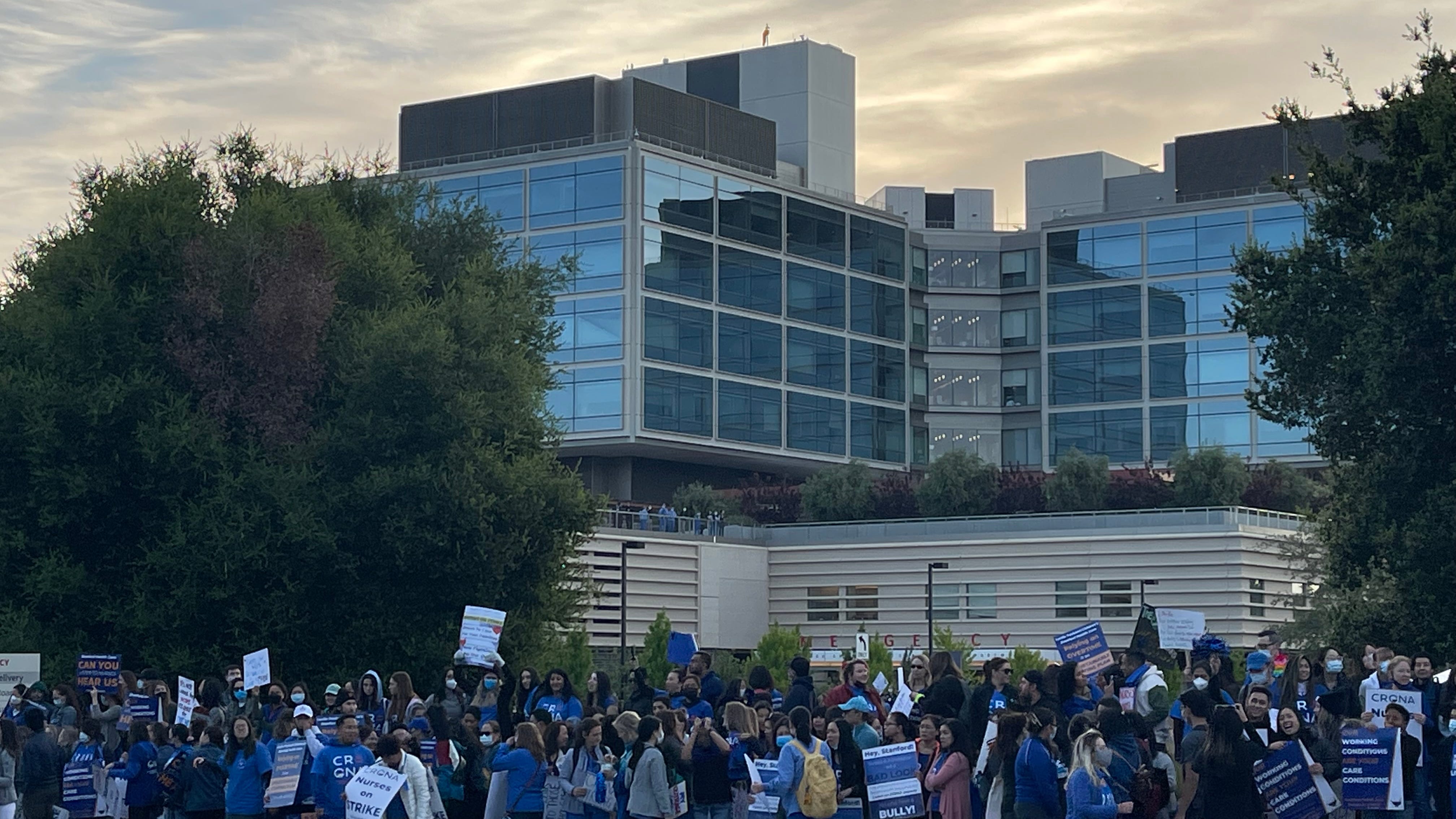 Why thousands of Stanford nurses are striking