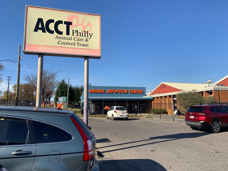 Nonprofits such as ACCT Philly rely on donations of money and time to stay afloat and look to charitable movements like #GivingTuesday for a boost in support.