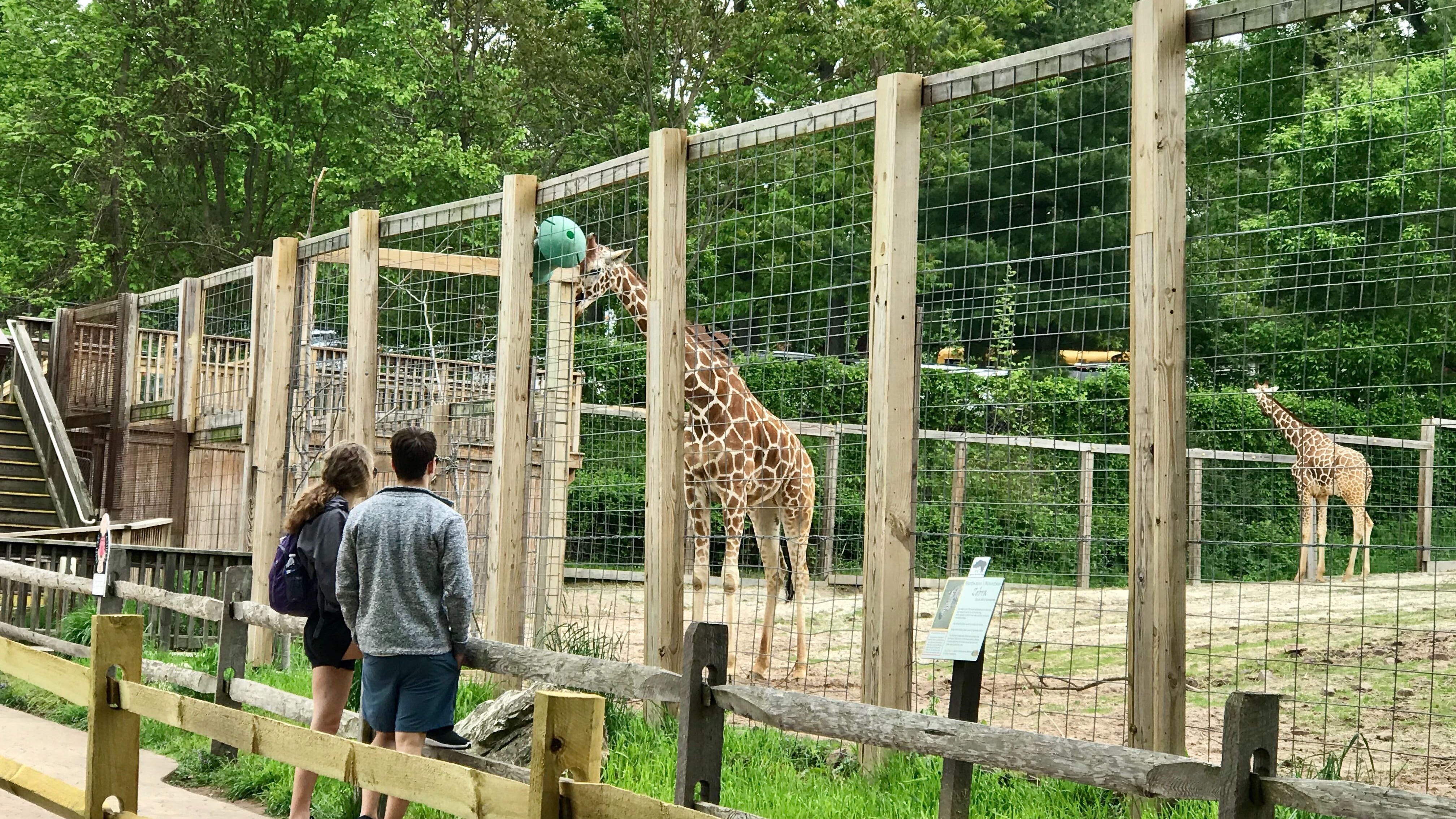 Elmwood Park Zoo receives $1M gift to expand exhibits, improve infrastructure