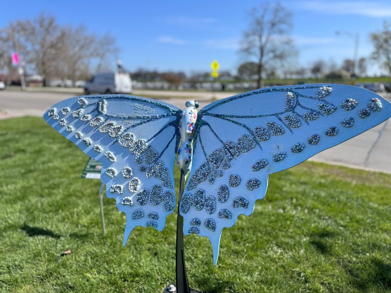 One of the "Flight of the Butterflies" exhibit pieces unveiled Thursday by the Peggy Notebaert Nature Museum.