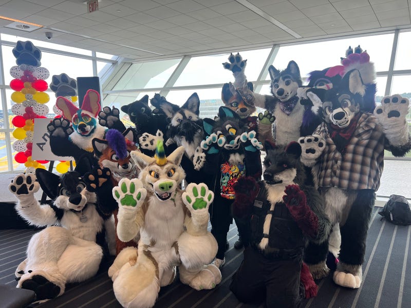 Anthrocon