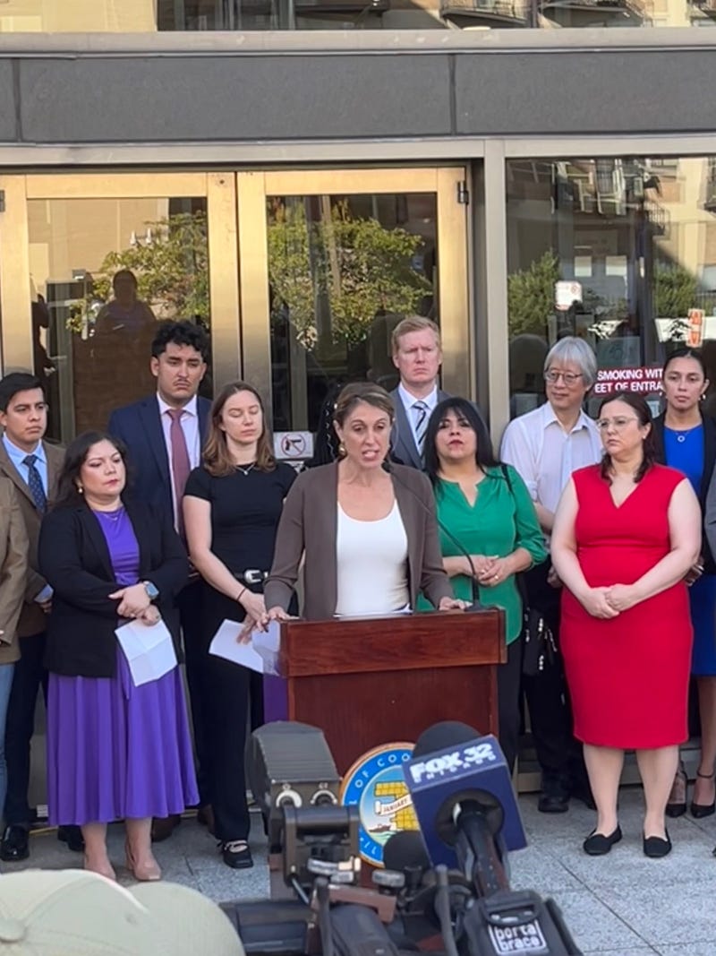 Alexa Van Brunt from the MacArthur Justice Center joins advocates for survivors of domestic violence and others outside the Cook County Domestic Violence Court Building.