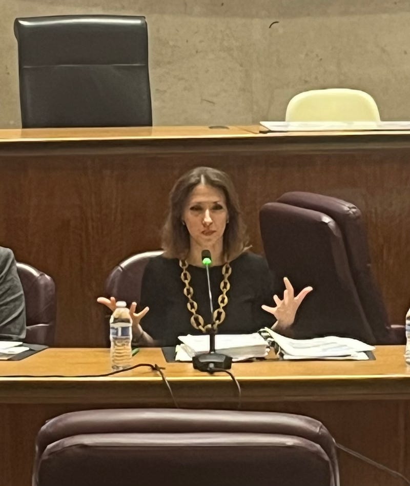Chicago Inspector General Deborah Witzburg speaks to aldermen during City Council budget hearings, October 29, 2025