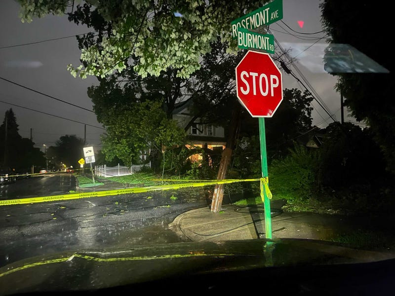 A downed tree at Rosemont Avenue and Burmont Road in Drexel Hill, Delaware County.